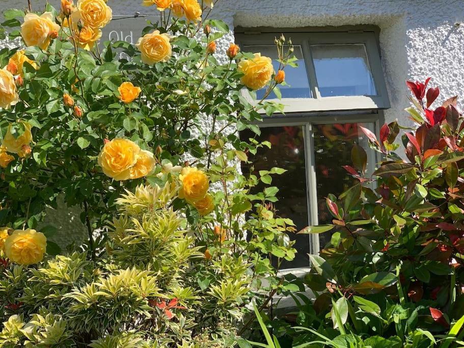 The Old Post Office, Cosy Grade II Listed 2 Bed Apartment Windermere Esterno foto
